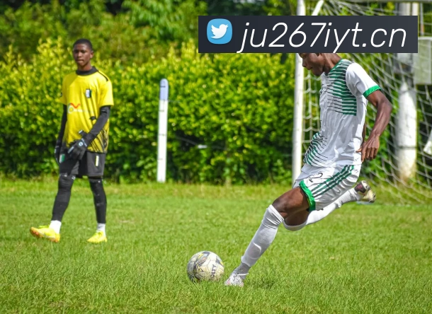 开云app平台登录入口品牌故事