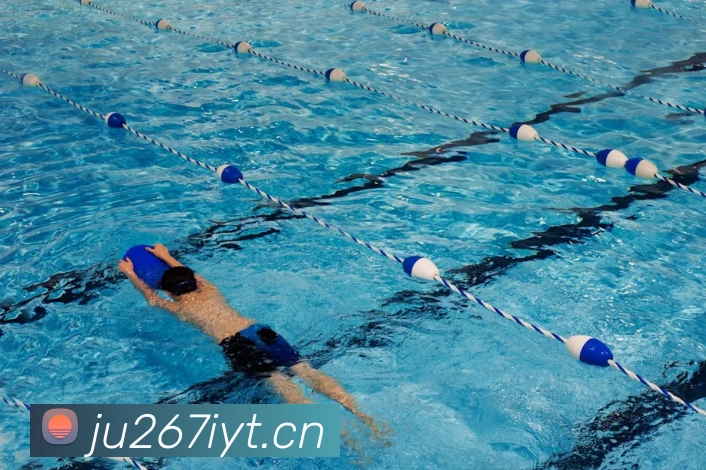 开云app平台登录入口服务体系